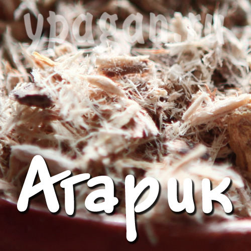 Агарик (лиственничная губка) 100 гр