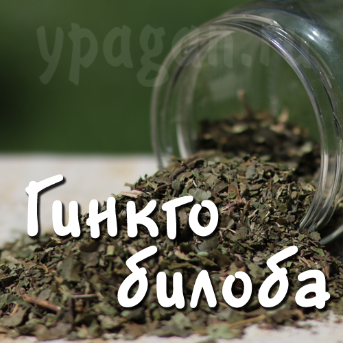 Гинкго билоба 100 гр