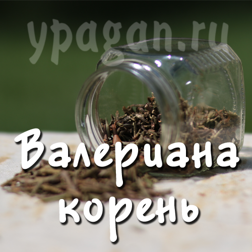 Валериана корень 100 гр